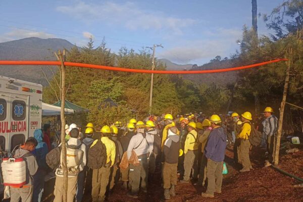 AVANZA CONTROL DE INCENDIOS FORESTALES
