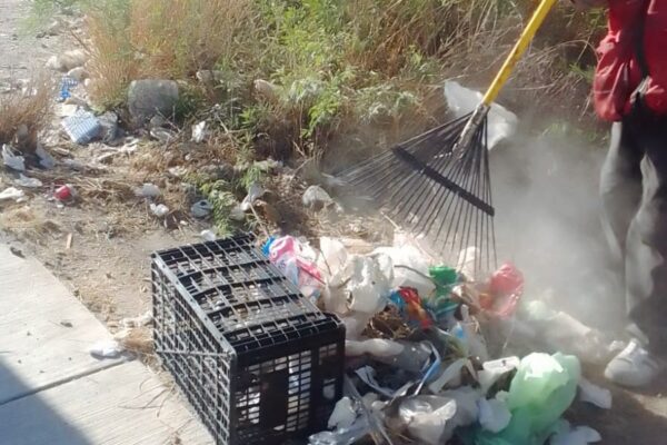 GOBIERNO MUNICIPAL REFUERZA LABORES DE LIMPIEZA EN ZONAS CON ACUMULACIÓN DE BASURA.