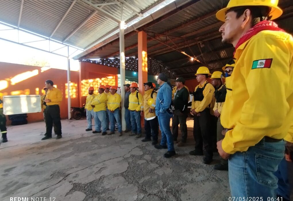 COMITÉ DEL MANEJO DEL FUEGO TRABAJA EN INCENDIOS FORESTALES
