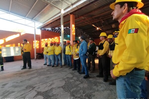 COMITÉ DEL MANEJO DEL FUEGO TRABAJA EN INCENDIOS FORESTALES